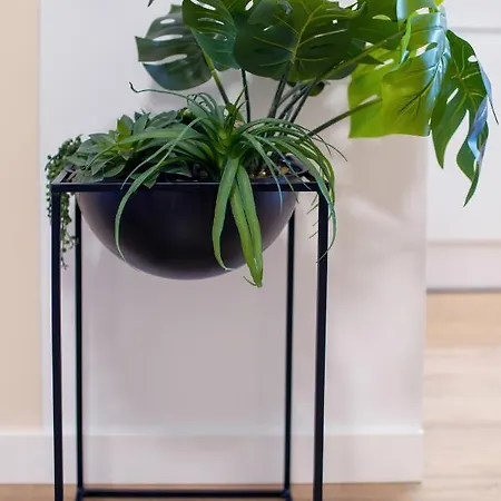 Awanport Zeromskiego By Renters Apartment